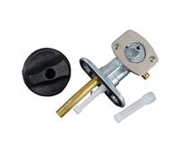 HYEBNP Interruptor de válvula de Grifo de Gasolina y Llave de Purga de Combustible Compatible con Arctic Bearcat 250, 300, 400, 454, 500 TBX TRV FIS Transmisión automática Manual automática