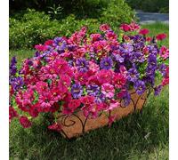 HyeFlora Flores artificiales para exteriores, plantas falsas para decoración exterior, 12 paquetes de seda colorida gloria matutina con eucalipto, resistentes a los rayos UV, flores artificiales