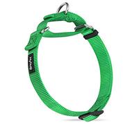 Hyhug Collar de martingala de Color sólido para Mascotas, Correa de Nailon Resistente para Perros medianos, Uso Diario (Mediano, Verde Lima)