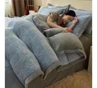 HYJYGM Double-Sided Milk Velvet 4-Piece Bedding Set - Thickened Coral Fleece Warm All-Season Bed Linen(Blue,Queen)