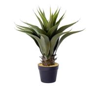 HYKJCSS Árbol Artificial Planta Artificial Plantas Tropicales Simuladas Orquídea Corona Pequeña Agave Suculenta Gladiolo Grande Planta