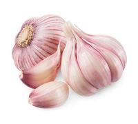 Hymor Ajo Morado de Las Pedroñeras, 5 kg, especialmente saludable, sabor intenso, bien digerible, también adecuado para plantar, como condimento