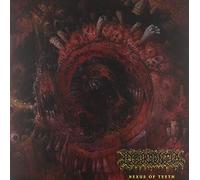 Hyperdontia - Nexus of Teeth [Vinilo]