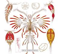 Hyperspace is The Place / Hyperspace is No Place [CD version]