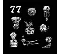 Hypnobirds - 77: A Brief Landing on the Earth's Surface [Vinilo]