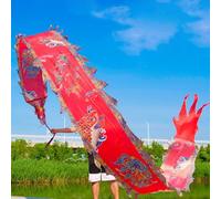 HYQING Cintas de dragón for Ejercicios al Aire Libre, Cintas de dragón for Deportes Tradicionales orientales con Bolsa de Viaje, POI Giratorio y agitador for malabarismo y Gimnasia.(Red,6 m (20 ft))