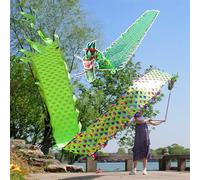 HYQING Serpentina de dragón Lavable y Colorida con diseño de dragón, POI Giratorio y agitador con Cabeza de dragón, Cinta for lanzar Deportes al Aire Libre for Personas Mayores(Green,10 m (33 ft))