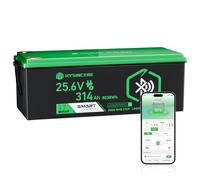 HYSINCERE Batería de Litio LiFePO4 de 24 V y 314 Ah, con una energía de 8038 WH y BMS; Vida útil de más de 4000+ ciclos. Ideal para autocaravanas, embarcaciones, Camping y Sistemas solares aislados