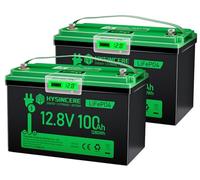 HYSINCERE Batteria al Litio LiFePO4 da 12 V 100 Ah con LED 2 Pack, 100 A Intelligente BMS & MAX 15000 cicli, 12 Volt Deep Cycle Batteria ricaricabile da 1280 WH per Camper, campeggio, sistemi a casa