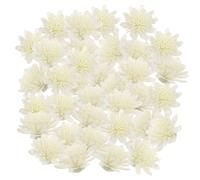 HYTROVE Accesorios para Difusor de Aceites Esenciales 100 Piezas de Flores de Crisantemo para Uso en Aromaterapia y Decoración de Espacios