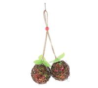 HYTROVE Juguete Masticable para Periquitos y Cacatúas Bola De Forrajeo Colgante para Aves Pequeñas para Actividades Físicas y Entretenimiento Jaulas De Pájaros