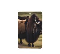 HYTTER Mighty Highland Yak Prints - Ambientadores rectangulares para coche, juego de 6 rebanadas, tarjetas perfumadas colgantes para armario, baño, decoración interior de coche