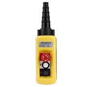 Hyuduo Controlador de Colgante de Polipasto de la Cadena de Grúas, Interruptor de Empuje de 2 Botones con Parada de Emergencia para el Elevación del Polipasto y la Grúa