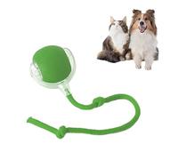 HYUIND Suministros for Mascotas Recargables Entrenamiento for Perros y Gatos for imitar Ratas Juguetes interactivos for Mascotas Pelota de Juguete eléctrica Cola simulada Inicio(Rope-Green)