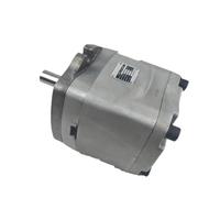 HYUJNAFZR Bomba de Engranajes hidráulica IGH/IGM-2F/3F-3.5/5/6.5/8/10/13/16-R-20 IGM-5F 4F -32-R-20 IGH-4F-32-R-20 Bomba de Engranajes hidráulica