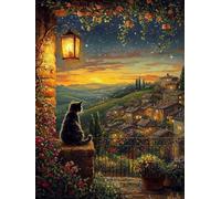 Hyupuanj 5D Paisaje gato negro Diamond Painting, 40x50cm d-292