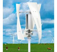 HYZHANHONG Generador de turbina eólica Vertical de bajo Ruido, generador de imanes permanentes de 3 Palas de 12V-220V 12000W con Controlador para el hogar, Barcos, alumbrado público (Blanco),24V