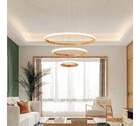 HZCVSG 3-Light Ring Chandelier, Round Linear 75W Pendant Lights Compatible with Living Room Kitchen Bedroom,for Various Rooms