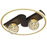 HZCVSG Ceiling Lights Dimmable Light Fixtures Ceiling Flush Mount with Remote Control Ceiling Chandelier,for Various Rooms