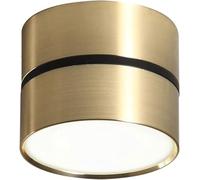 HZCVSG Close to Ceiling Lights - Cylindrical Downlight Ceiling Lamp Embedded Installation Fixture,for Various Rooms