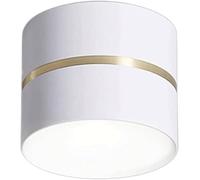 HZCVSG Close to Ceiling Lights - Cylindrical Downlight Ceiling Lamp Embedded Installation Fixture,for Various Rooms