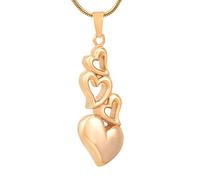 HZCVSG Creamation Necklaces for Heart-Shaped Urn Pendant Pet/Human Memorial Funeral Coffin Ashes Rack