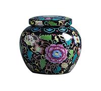 HZCVSG Cremation UrnsFor Ashes Funeral Urn Cremation Urns Adults Children Pet Urns Family Memorial Ceramic Pot Strongly Sealed Against Moisture (Color : Green) Good Times