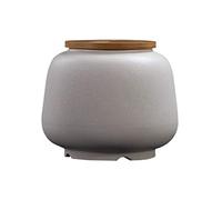 HZCVSG Cremation UrnsFor Ashes Funeral urn Cremation urns For a Small Amount of Human Ashes Ceramic Pot Ceramic Material Sealed Against Moisture Beautiful Souvenir (Color : White) Good Times
