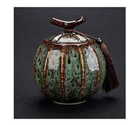 HZCVSG Cremation UrnsFor Ashes Funeral urn Cremation urns For a Small Amount of Human Ashes Portable Storage Tank Compact Fringe Decoration Souvenir (Color : #5) Good Times