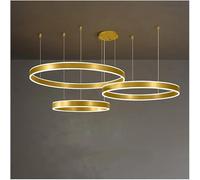 HZCVSG Gold Minimalism Dimmable Hanging Pendant Light Fixtures Chandelier Circular Entryway Ceiling Chandelier,for Various Rooms