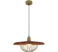 HZCVSG Hardware V-intage Pendant Light Metal Pendant Lamp Shade Hollow Metal Cage Chandelier Ceiling Fixtures,for Various Rooms