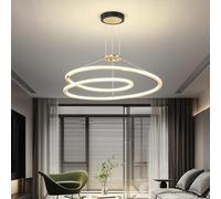 HZCVSG Minimalist 2-Ring Chandelier Ceiling Lights Fixtures Compatible with Living Room Dining Room Staircase,for Various Rooms