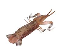 Hztyyier Modelo de Camarón Mantis Juguete Realista para educación y decoración for colección y exhibición