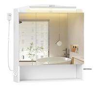Hzuaneri Armario de Baño con Espejo y Luz LED, Mueble Espejo de Pared con Interruptor y Enchufe, Soporte para Secador de Pelo, Ganchos, Estantes Ajustables, 16,5 x 70 x 80 cm, Blanco MC00303XEU