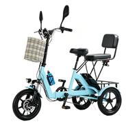 HZWJD Bicicletas Eléctricas De 3 Ruedas con Batería De Litio Extraíble,Plegables para Adultos,Cesta Delantera,Portaequipajes Trasero,Frenos De Disco Dobles,para Hombres Y Mujeres A