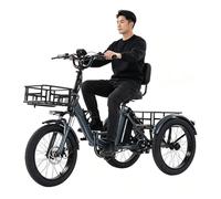 HZWJD Triciclo Eléctrico,Bicicleta Eléctrica,Plegable De 3 Ruedas,Batería Extraíble,con Cesta De Gran Capacidad,Ideal para Desplazamientos Diarios Y Viajes Cortos Gray
