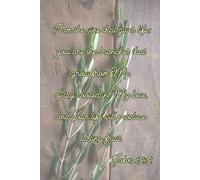 I Am the Vine: A Lined Christian Journal for Reflection, Prayer, and Daily Writing
