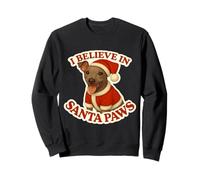 I Believe In Santa Paws American Hairless Terrier Navidad Sudadera