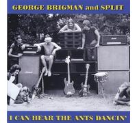 I Can Hear the Ants Dancin by George Brigman & Split (2005-06-15)