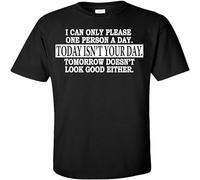 I Can Only Please One Person a Day. Today Isn'T Your Day. Tomorrow Doesn'T Look Good Either T Shirt T-Shirt Black S
