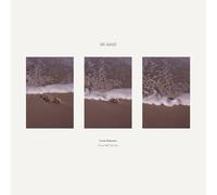I Can Still See You [Vinilo]