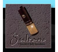 I Couldn't Say Goodbye