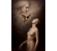 I Diari della Rondine: Il Diario della Rondine - Volume 2: Stelle interiori