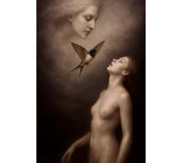 I Diari della Rondine: Il Diario della Rondine - Volume 2: Stelle interiori