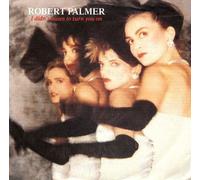 I didn't mean to turn you on (1985) / Vinyl single [Vinyl-Single 7'']