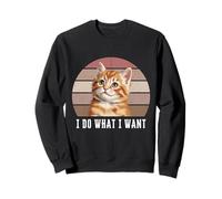 I Do What | Funny Orange Tabby Cat Lover Sudadera