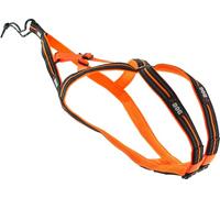 I-dog ARNÉS X-Back One Gama One (XL)