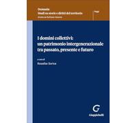 I domini collettivi: un patrimonio intergenerazionale tra passato, presente e futuro (Demania. Studi su storie e diritti del territorio)