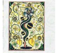 I Feel Alright by Steve Earle