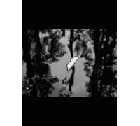 I fell in love with death